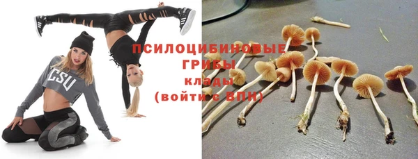 таблы Абинск