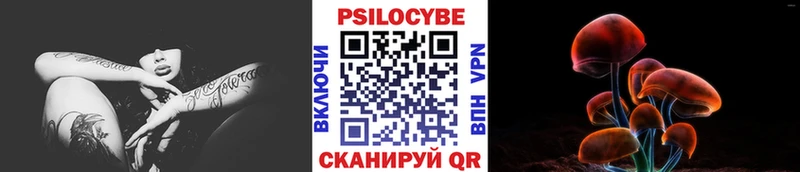 купить наркотик  Темников  МЕГА онион  Галлюциногенные грибы Magic Shrooms 